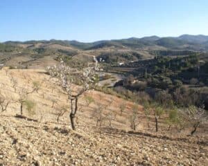 Costa Calida (Murcia)