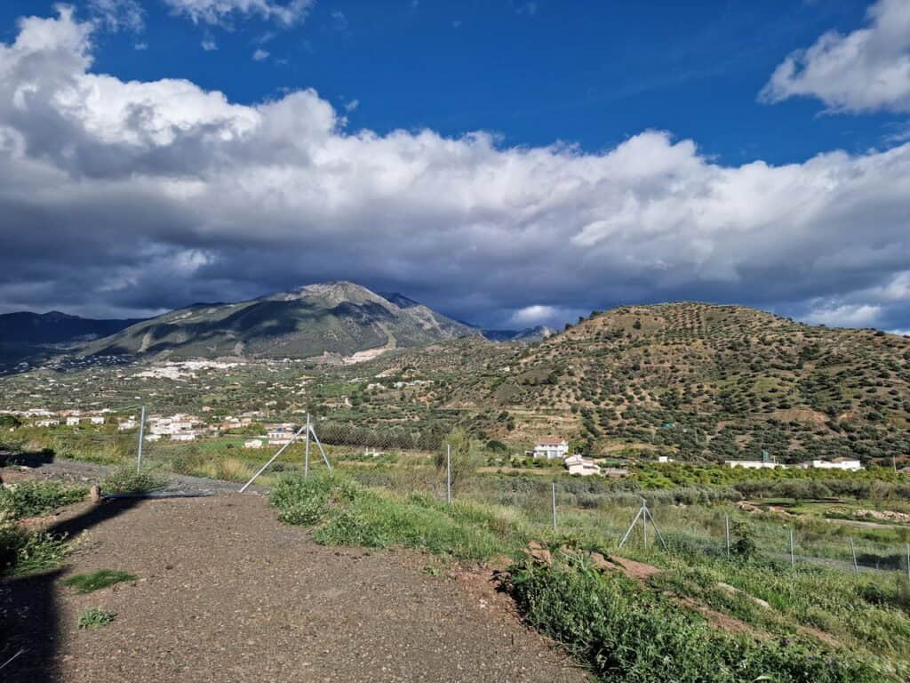 Plot for Sale in Puente De Don Manuel
