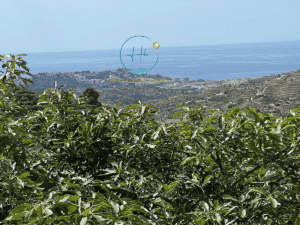 Country House for Sale in Almuñécar