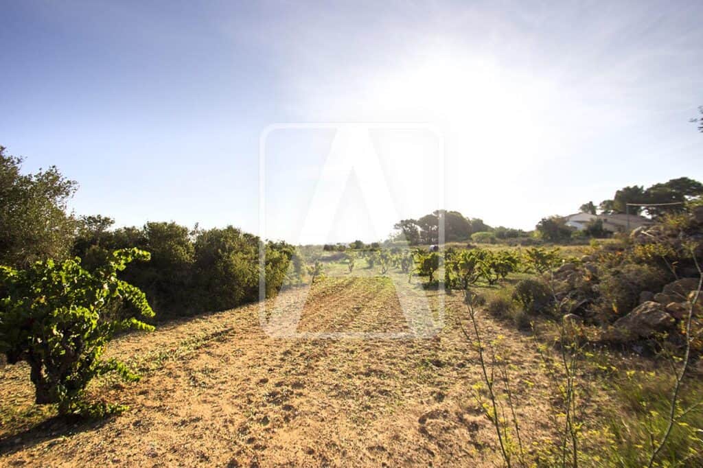 Plot for Sale in Benissa
