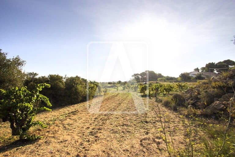 Plot for Sale in Benissa