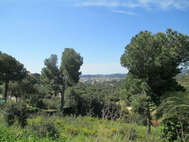 Plot for Sale in Sant Antoni de Calonge