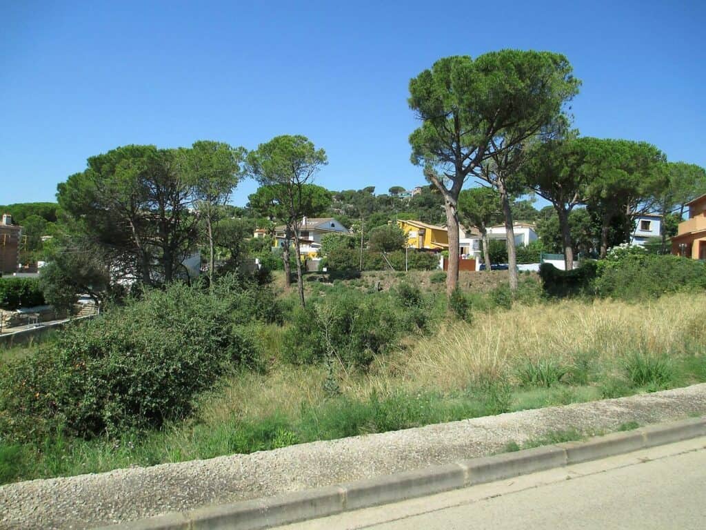 Grundstück zum Verkauf in Calonge