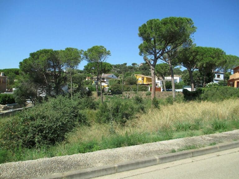 Plot for Sale in Calonge