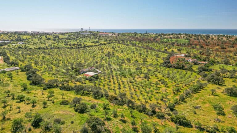 Plot for Sale in Albufeira