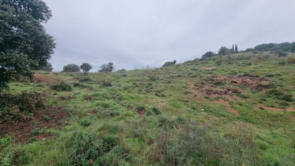 Plot for Sale in Coín