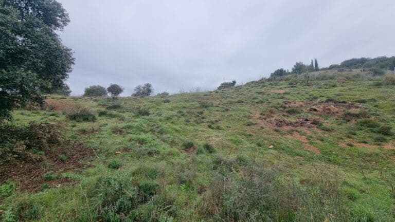 Plot for Sale in Coín