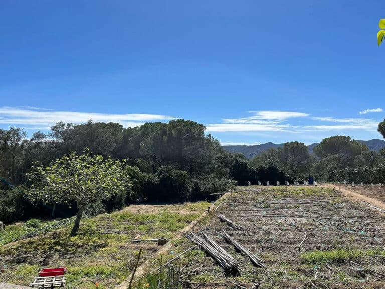 Plot for Sale in Santa Cristina d'Aro