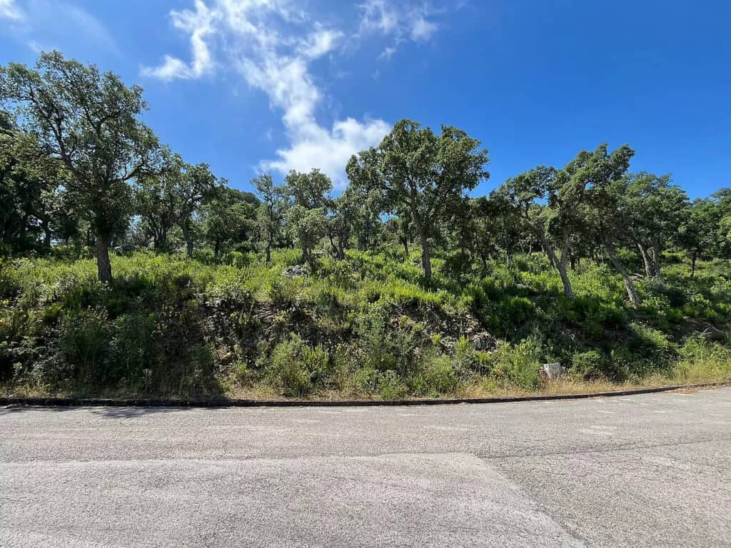 Plot for Sale in Calonge