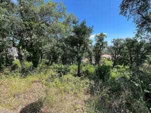 Plot for Sale in Calonge