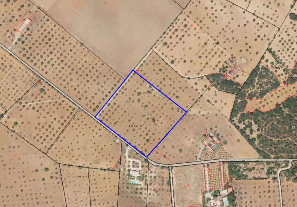 Plot for Sale in Felanitx