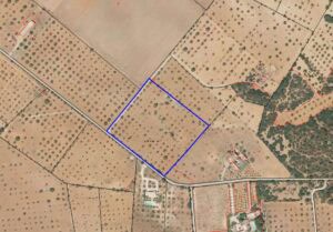 Plot for Sale in Felanitx