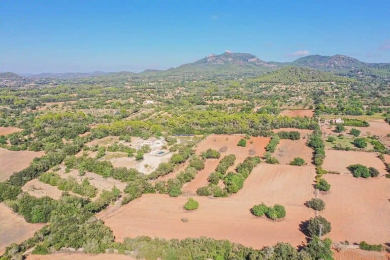 Plot for Sale in Cas Concos Des Cavaller