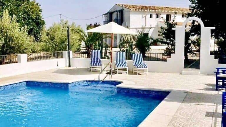 Commercial for Sale in Caniles