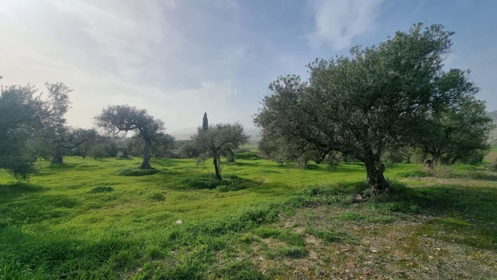 Plot for Sale in Alhaurín el Grande