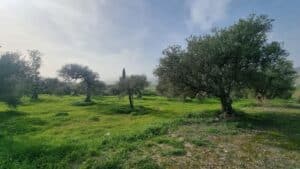 Plot for Sale in Alhaurín el Grande