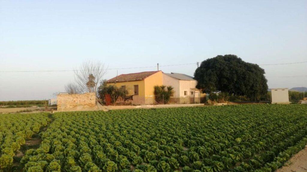 country house for Sale in Orihuela