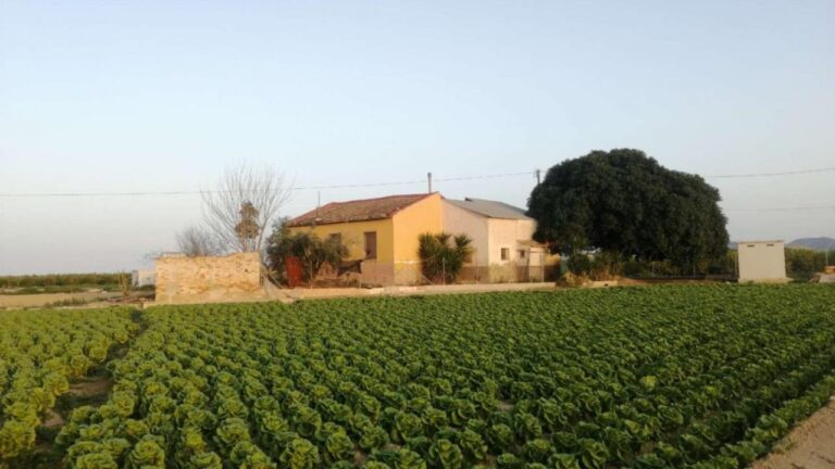 country house for Sale in Orihuela
