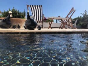 Commercial for Sale in Gaucin