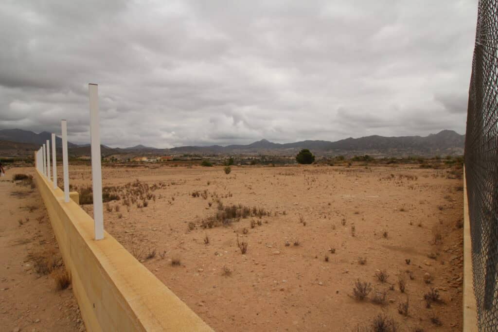 Plot for Sale in Abanilla