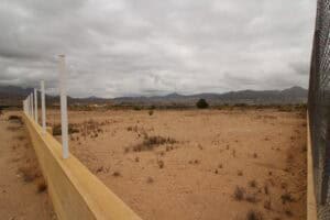 Plot for Sale in Abanilla