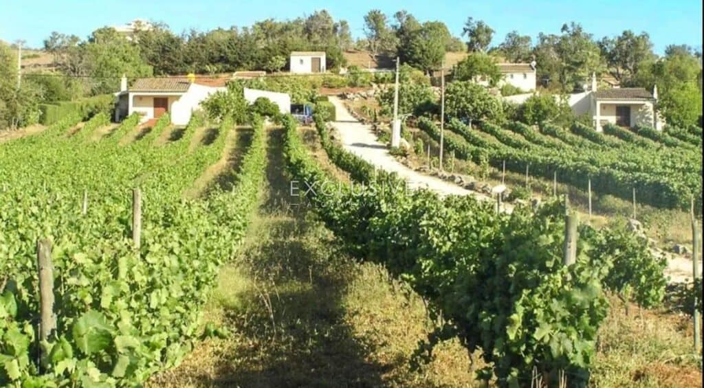 Plot for Sale in PRAIA DA LUZ