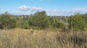Plot for Sale in SILVES