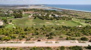 Plot for Sale in PALMARES