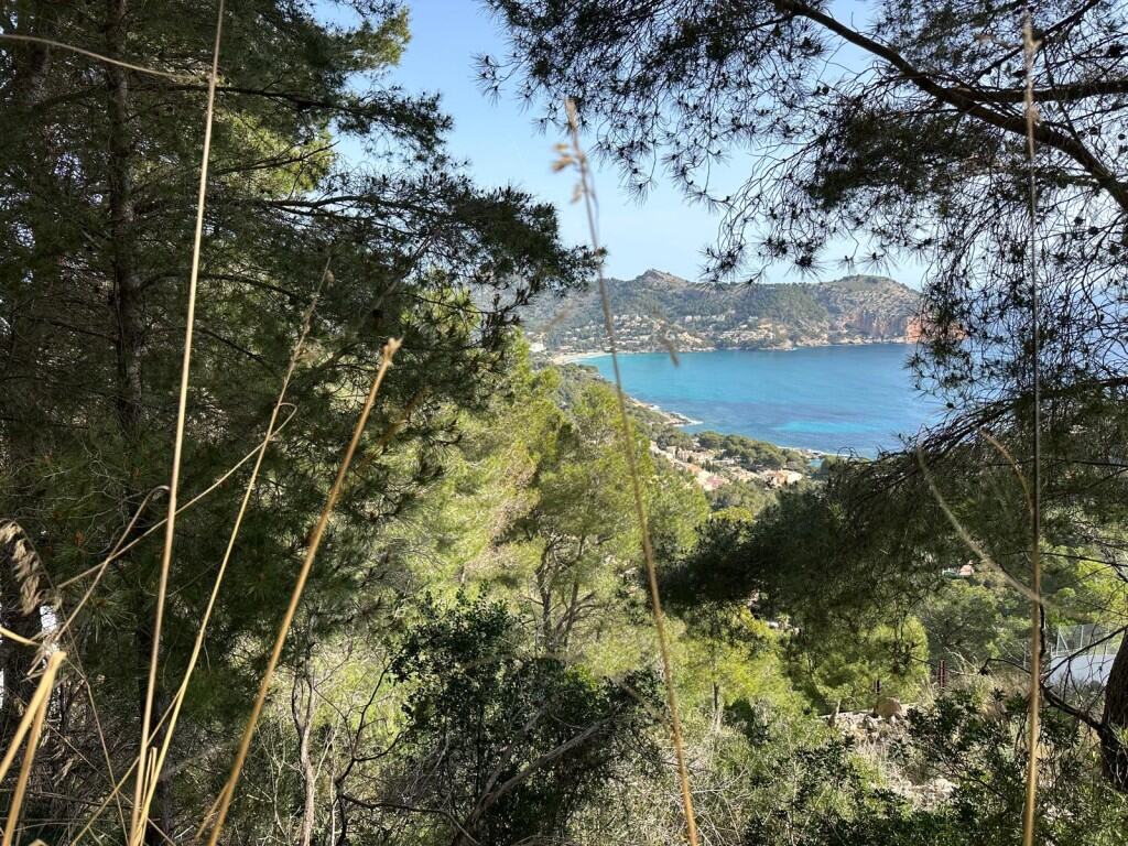 Plot for Sale in Capdepera