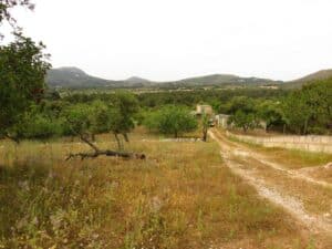 Plot for Sale in Artà