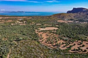 Country House for Sale in Artà