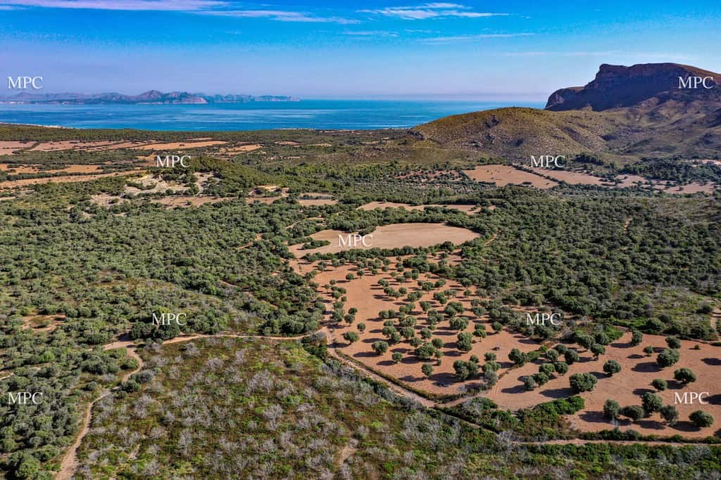 Country House for Sale in Artà