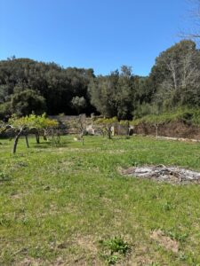 Plot for Sale in Artà