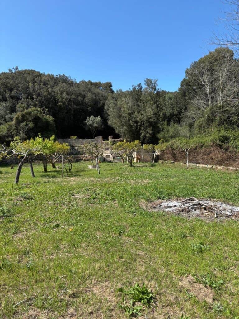 Plot for Sale in Artà