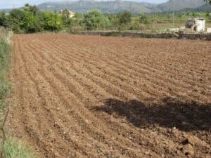 Plot for Sale in Artà