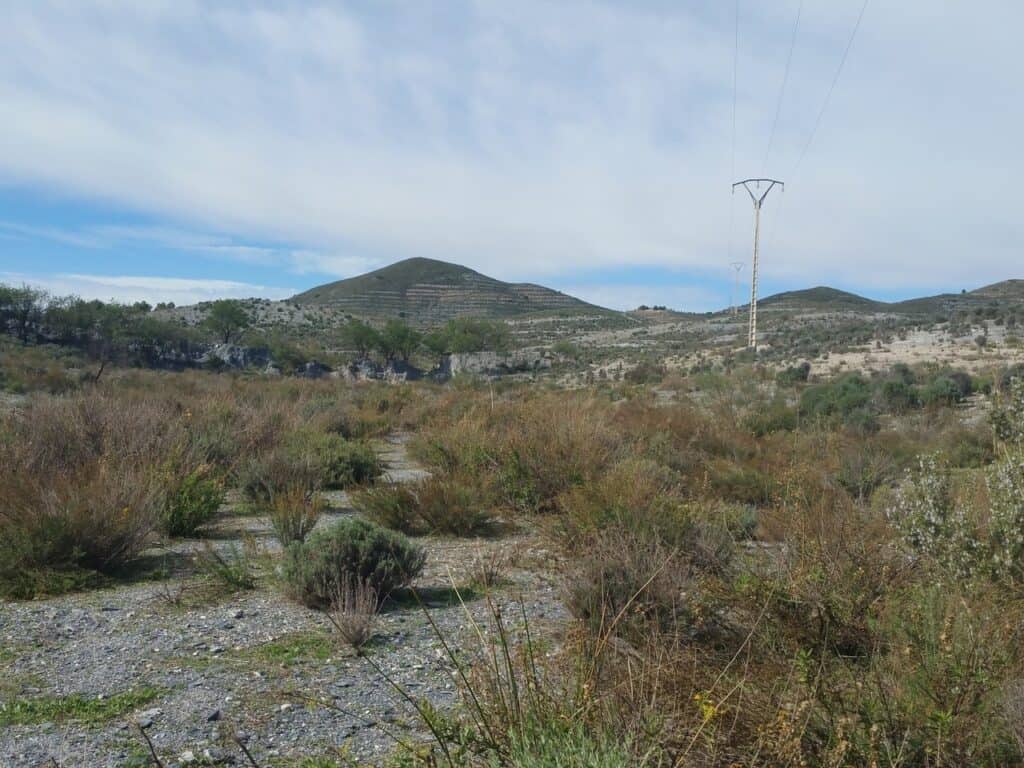 Plot for Sale in Lorca