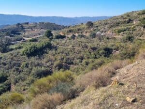 Plot for Sale in Bedar