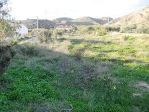 Plot for Sale in Albox
