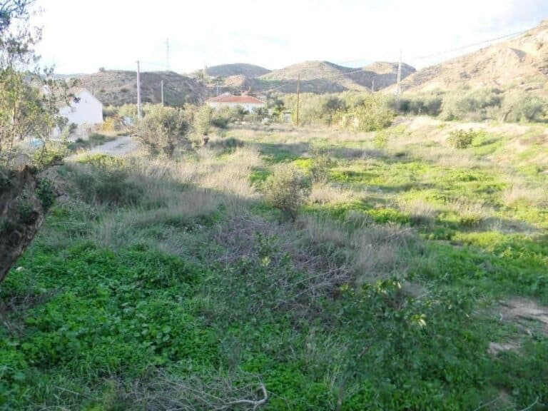 Plot for Sale in Albox