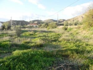 7247-land-for-rent-in-albox-702225-xml.jpg