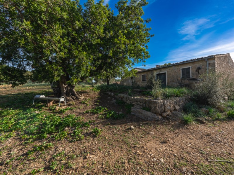 Country House for Sale in Alaró