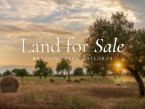 Plot for Sale in Manacor