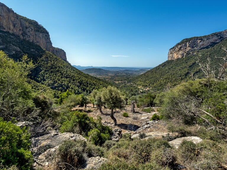 Country House for Sale in Alaró