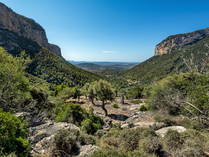 Country House for Sale in Alaró