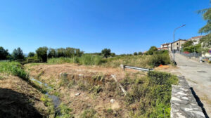 Land for sale in Colfelice
