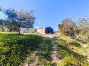 country house for Sale in Noto