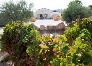 Commercial for Long Term Rental in Ispica