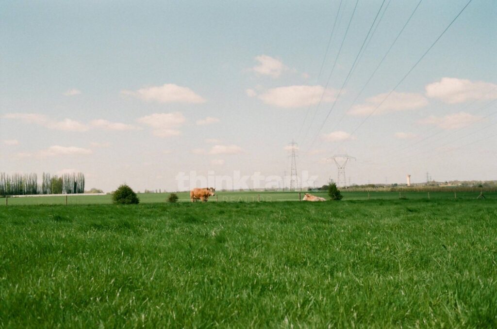 Plot for Sale in Castel di Iudica