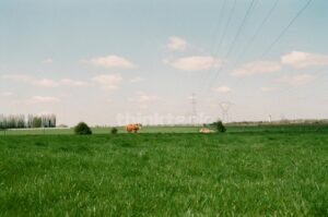 Plot for Sale in Castel di Iudica