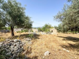 Plot for Sale in Solarino